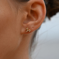 Culturesse Aries Artisan Zirconia Pavé Stud Earrings (Gold) images 0