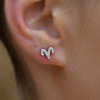 Culturesse Aries Artisan Zirconia Pavé Stud Earrings (Silver) images 0