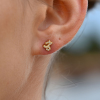 Culturesse Capricorn Artisan Zirconia Pavé Stud Earrings (Gold) images 0