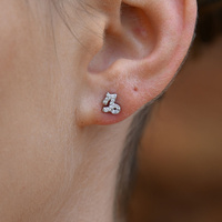 Culturesse Capricorn Artisan Zirconia Pavé Stud Earrings (Silver) images 0