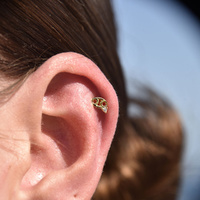 Culturesse Cancer Helix Screw Back Earring (Gold Single Piece) images 0