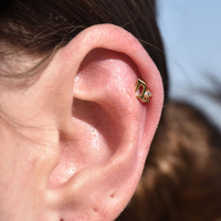 Culturesse Capricorn Helix Screw Back Earring (Gold Single Piece) images 0