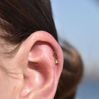 Culturesse Sagittarius Helix Screw Back Earring (Gold Single Piece) images 0