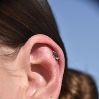 Culturesse Scorpio Helix Screw Back Earring (Silver Single Piece) images 0