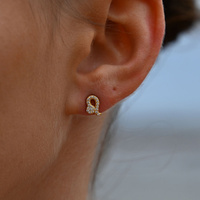 Culturesse Leo Artisan Zirconia Pavé Stud Earrings (Gold) images 0