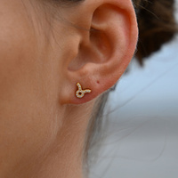 Culturesse Taurus Artisan Zirconia Pavé Stud Earrings (Gold) images 0