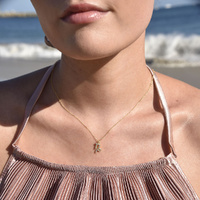 Culturesse Capricorn Diamante Pendant Necklace (Gold) images 0