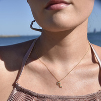 Culturesse Scorpio Diamante Pendant Necklace (Gold) images 0