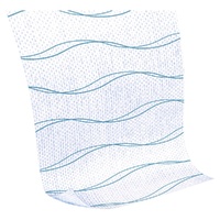 Fixomull Gentle Touch Wide Area Fixation 10cmx2m images 1