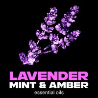 Lynx Fine Fragrance Body Spray Blue Lavender 150mL x 6 images 3