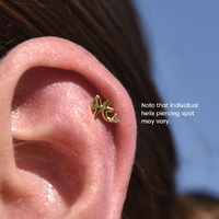 Culturesse Pisces Helix Screw Back Earring (Gold Single Piece) images 3