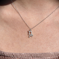 Culturesse Capricorn Diamante Pendant Necklace (Silver) images 3