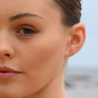 Culturesse Sagittarius Artisan Zirconia Pavé Stud Earrings (Gold) images 4