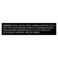 Rexona Men Antiperspirant Aerosol Quantum 250mL images 5