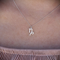 Culturesse Capricorn Diamante Pendant Necklace (Silver) images 5