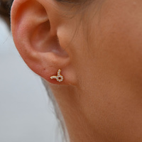 Culturesse Taurus Artisan Zirconia Pavé Stud Earrings (Gold) images 7