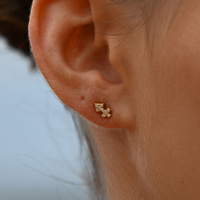 Culturesse Sagittarius Artisan Zirconia Pavé Stud Earrings (Gold) images 8