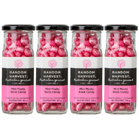 Random Harvest Mini Musk Rock Candy 4 Pack 180g Glass Jar Gluten Free Sweets