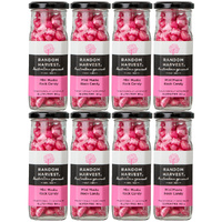 Random Harvest Mini Musk Rock Candy 8 x 180g Glass Jars Gluten Free Handmade Sweets