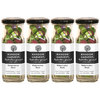 Random Harvest Watermelon Rock Candy 4 Pack 170g Glass Jar Vegan Sweets