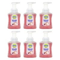 Dettol Foam Hand Wash Rose & Cherry in Bloom 250mL Pack of 6