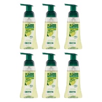 Palmolive Antibacterial Foaming Hand Wash Lime & Mint 250mL x 6 Bundle of 6