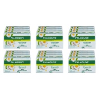 Palmolive Naturals Chamomile Extracts Bar Soap 4 Pack x 12 Bundle of 6