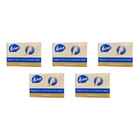 Heros Chiropody Sponge Pack of 5