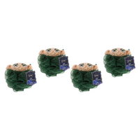 Warner Bros Harry Potter Dobby Body Exfoliator Mad Beauty Bath Pouf Pack of 4