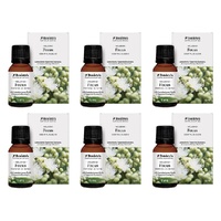 Bosisto's Australian Natives Focus Oil 15mL Pack of 6
