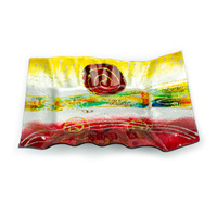 Curtis & Wade Glass Plate Rectangle Wavy Multi Pattern Dinnerware