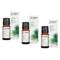 Bosisto's Australian Natives Daintree Oil 10mL Pack of 3