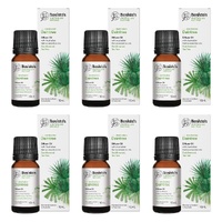 Bosisto's Australian Natives Daintree Oil 10mL Pack of 6