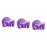 Mentos Fresh Travel Pack Grape 4 Piece Set Bundle of 3