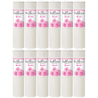 Enchanteur Romantic Perfumed Talc 100g x 12 Packs Set