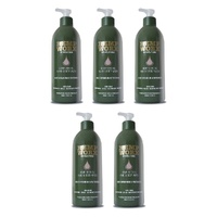Hemp Worx Rose Geranium & Patchouli Hand and Body Wash 500mL Pack of 5