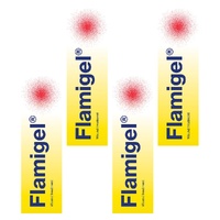 Flamigel Burn Treatment 50g Pack of 4