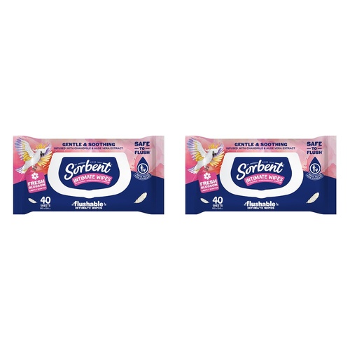 Sorbent Flushable Intimate Wipes 40 Pack Bundle of 2