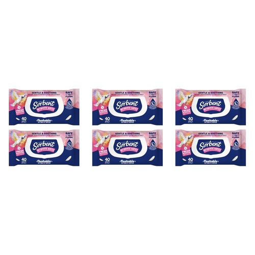 Sorbent Flushable Intimate Wipes 40 Pack Bundle of 6