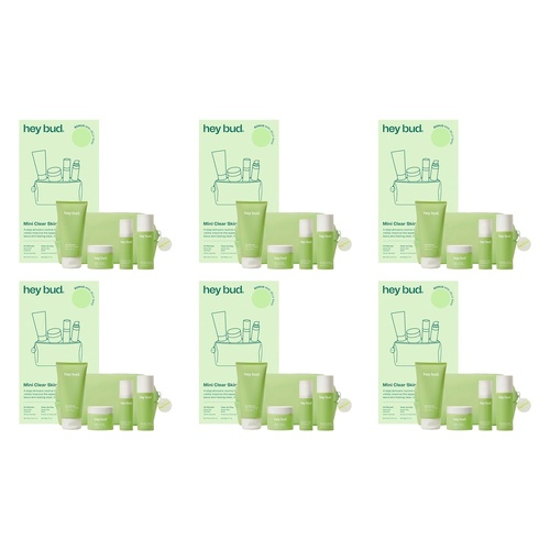 Hey Bud Starter Pack 4 Piece Set Bundle of 6