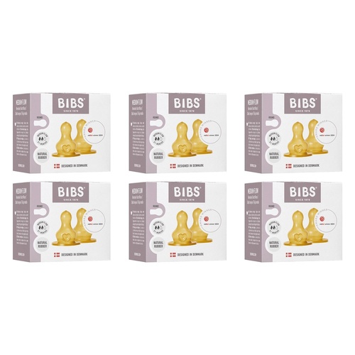 Bibs Bottle Nipple Medium Flow 2 Pack Bundle of 6