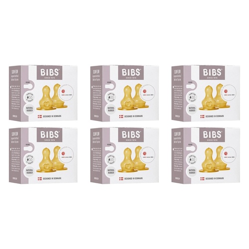 Bibs Bottle Nipple Slow Flow 2 Pack Bundle of 6