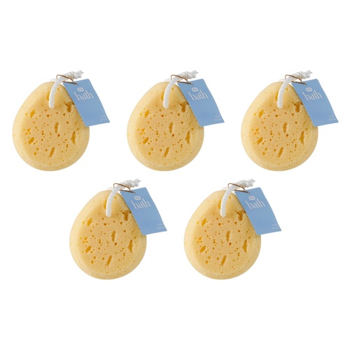 Pharmacy Health Body Sponge Pack of 5