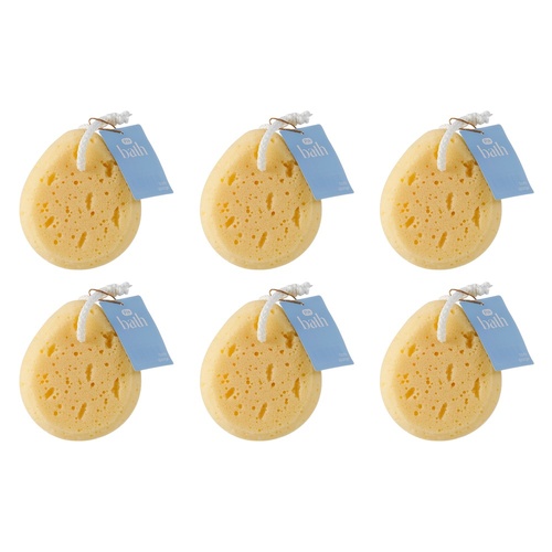 Pharmacy Health Body Sponge Pack of 6