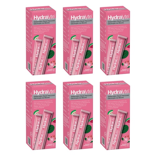 Hydralyte Watermelon Burst Flavoured Electrolyte Ice Blocks 16 Pack Bundle of 6