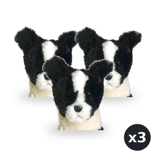Teddy & Friends Border Collie 24cm Pack of 3