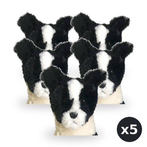 Teddy & Friends Border Collie 24cm Pack of 5