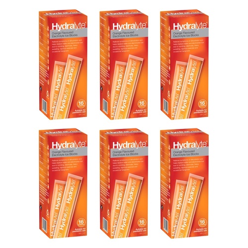 Hydralyte Orange Flavoured Electrolyte Ice Blocks 16 Pack Bundle of 6