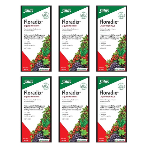 Floradix Liquid Iron Plus 250mL Pack of 6