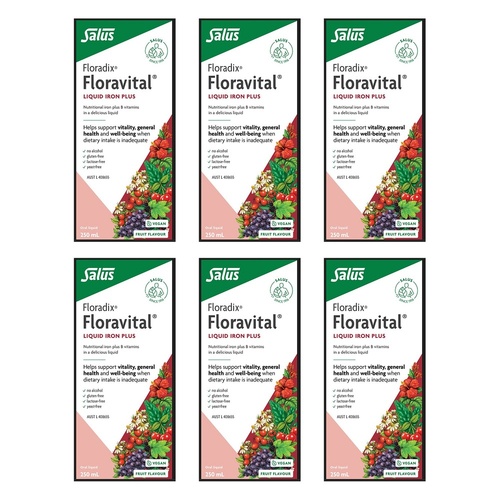 Floradix Floravital Liquid Iron Plus 250mL Pack of 6